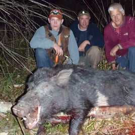 Night Vision Hog Hunts