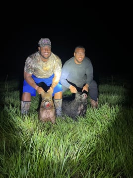 Do it Yourself Hog Hunts