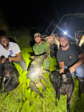 Do it Yourself Hog Hunts