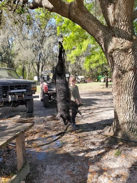 Wild Boar Hunting Adventure