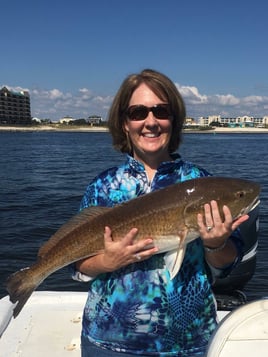 Orange Beach Inshore Hook-Up