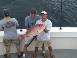 Premier Red Snapper Adventure