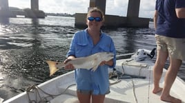 Orange Beach Inshore Hook-Up