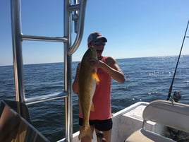 Orange Beach Inshore Hook-Up