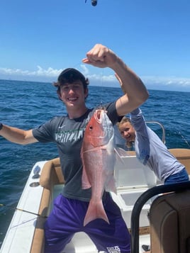 Red Snapper Run - 25' Sea Hunt