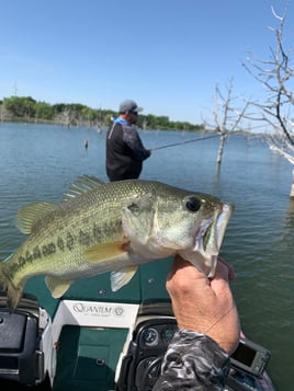 Fayette County Lake Trip