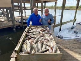 Catching New Orleans