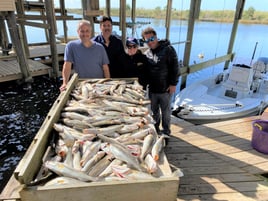 Catching New Orleans