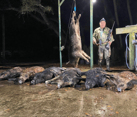 Lake Okeechobee Hog Harvest