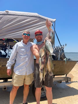 Trophy Crappie Fishing in North Mississippi