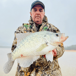 Trophy Crappie Fishing in North Mississippi