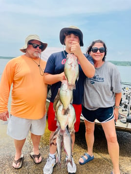 Trophy Crappie Fishing in North Mississippi