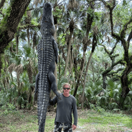 Okeechobee Alligator Adventure: 8'-8'11"