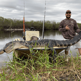 Okeechobee Alligator Adventure: 9'-9'11"