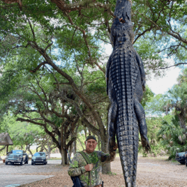 Okeechobee Alligator Adventure: 10'-10'11"