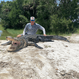 Okeechobee Alligator Adventure: 12'-12'11"