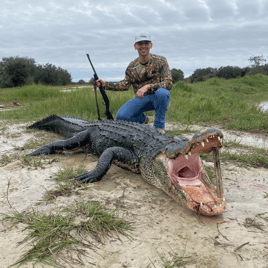 Okeechobee Alligator Adventure: 13'-13'11"