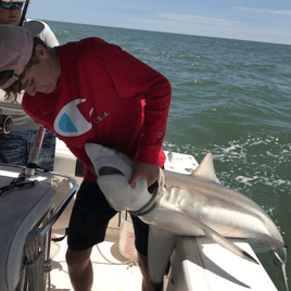 Galveston Shark Adventure- 25' Ranger