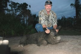 Hog hunt