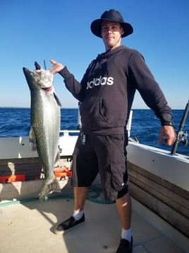 Kenosha Salmon Hookfest