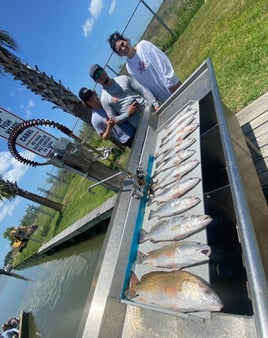 Galveston Bay Grab Bag