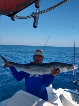 NC Sportfish Adventure