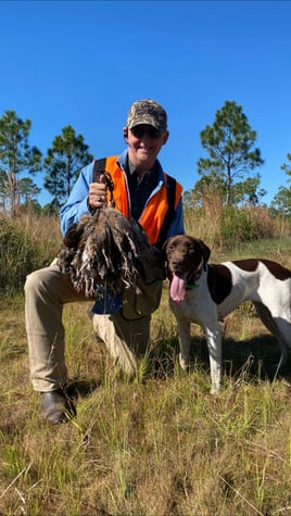 Bobwhite Quail Hunting Adventure