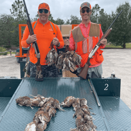 Bobwhite Quail Hunting Adventure