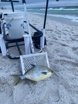 Surf fishing