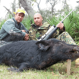 Wild Hog Whack- with Lodging