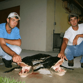 Florida Gator Takedown- 7'