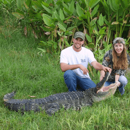 Florida Gator Takedown- 8'