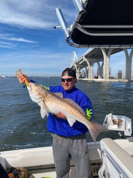 Pensacola Bay Fishing Trip