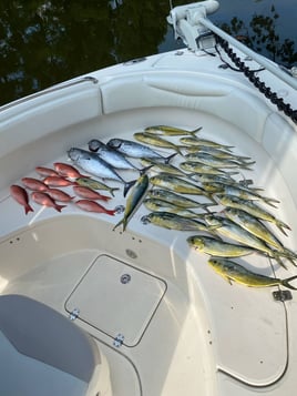 Pensacola Bay Fishing Trip