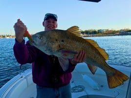 Pensacola Bay Fishing Trip