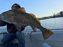 Pensacola Bay Fishing Trip