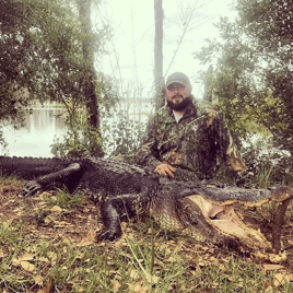 Florida Gator Takedown- 11'