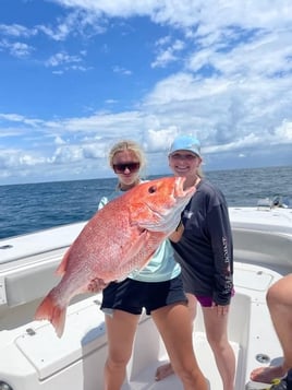 Orange Beach Bottomfishing Special