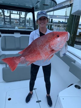 Orange Beach Bottomfishing Special