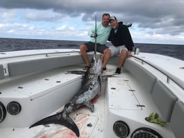 Orange Beach Swordfish Hunt