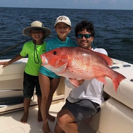 Orange Beach Bottomfishing Special