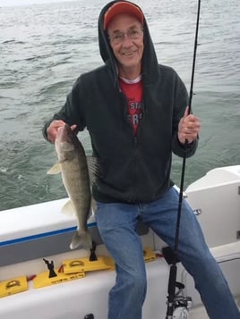 Lake Erie Walleye Run