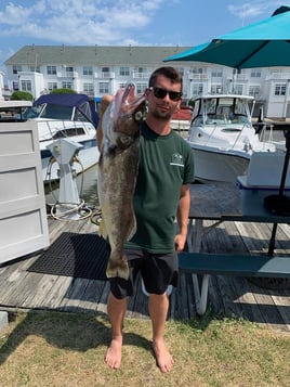 Lake Erie Walleye Run