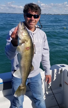 Lake Erie Walleye Run