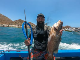 Spearfishing trips