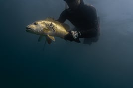 Spearfishing trips