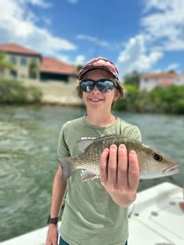 Tampa Bay flats, mangroves & bay