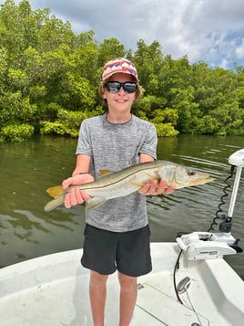 Tampa Bay flats, mangroves & bay