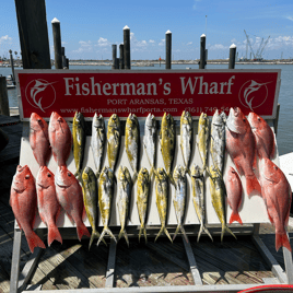 6 Hour Offshore Reef & Wreck Fishing