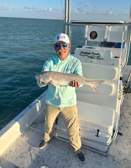 SPI Bay Fishing